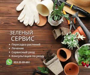 Oasis Green service. Озеленение. Фитодизайн. Уход за растениями