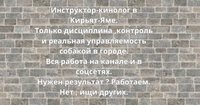 Алексей Волчонок инструктор кинолог в Кирьят-Яме