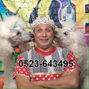 Детские дни рождения, клоуны, животные